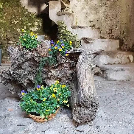 La Casa Di Gea Comerio