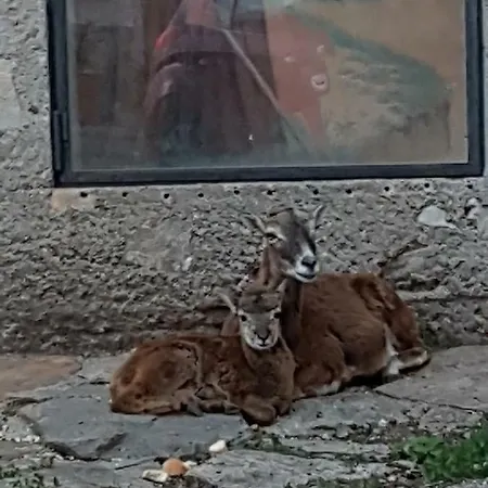La Casa Di Gea * Comerio